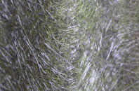 Washbrook Street fibreglass roof work